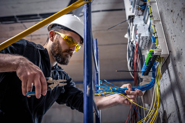 Best Electric Panel Repair  in Springfield, FL